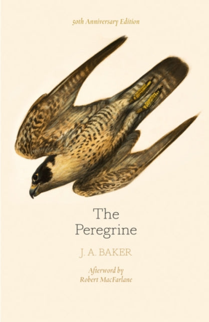 The Peregrine: 50th Anniversary Edition : Afterword by Robert Macfarlane - John Fanshawe