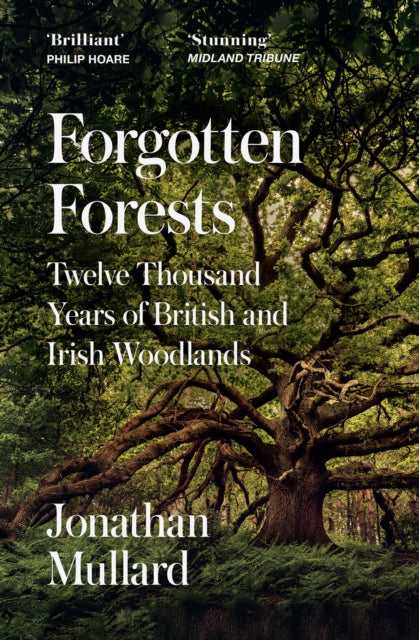 Forgotten Forests : Twelve Thousand Years of British and Irish Woodlands - Jonathan Mullard