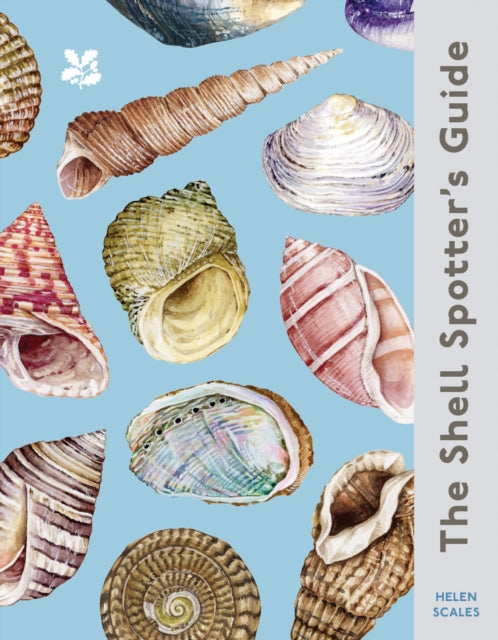 Front cover of The Shell Spotter's Guide by Helen Scales, hardback