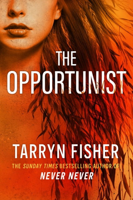 The Opportunist - Tarryn Fisher