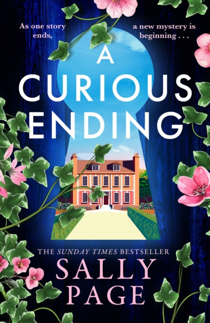 A Curious Ending - Sally Page