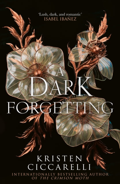 A Dark Forgetting - Kristen Ciccarelli
