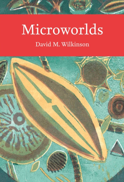 Microworlds - David Wilkinson