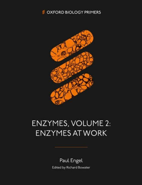 Enzymes, Volume 2 : Enzymes at Work - Paul Engel