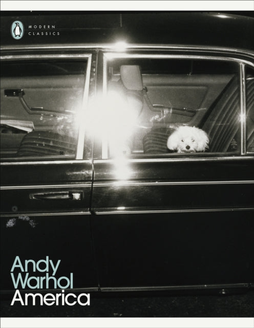 America - Andy Warhol