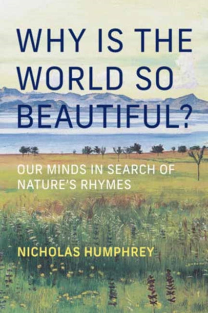 Why Is the World So Beautiful? : Our Minds in Search of Nature's Rhymes - Nicholas Humphrey