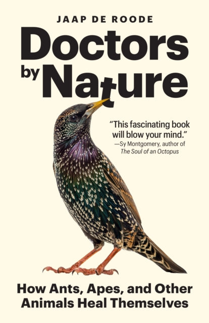 Doctors by Nature : How Ants, Apes, and Other Animals Heal Themselves - Jaap de Roode