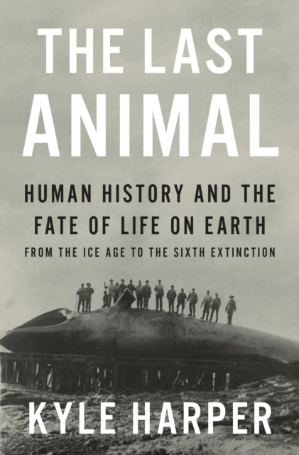 The Last Animal : Human History and the Fate of Life on Earth from the Ice Age to the Sixth Extinction - Kyle Harper