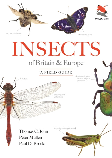 Insects of Britain and Europe : A Field Guide - Dr.Paul D. Brock