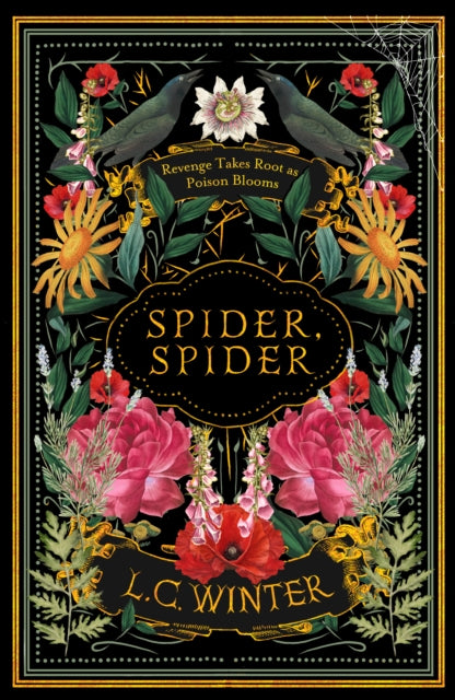 Spider, Spider : 'Black as night and as cleverly woven as a spider's web' Anna Mazzola - L.C. Winter