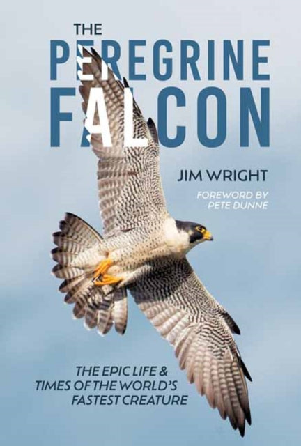 Front cover of The Peregrine Falcon by Jim Wright, hardback