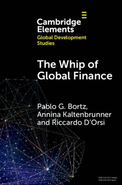 The Whip of Global Finance : International Monetary and Financial Subordination and (Under)development - Riccardo D'Orsi