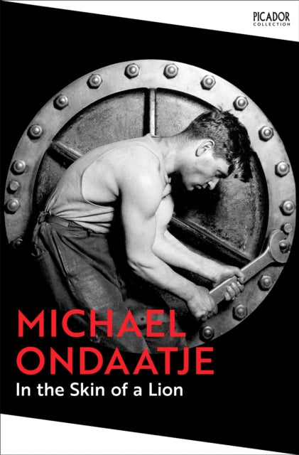 In the Skin of a Lion - Michael Ondaatje
