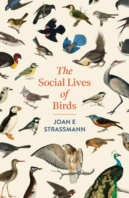 The Social Lives of Birds : a must-read for bird and nature lovers - Joan E. Strassmann