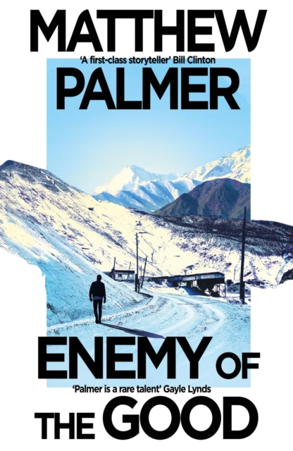 Enemy of the Good - Matthew Palmer