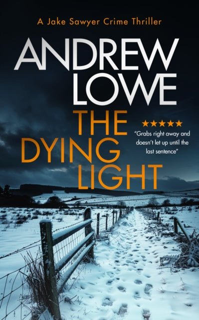 The Dying Light : A page-turning, chilling British crime novel with twists