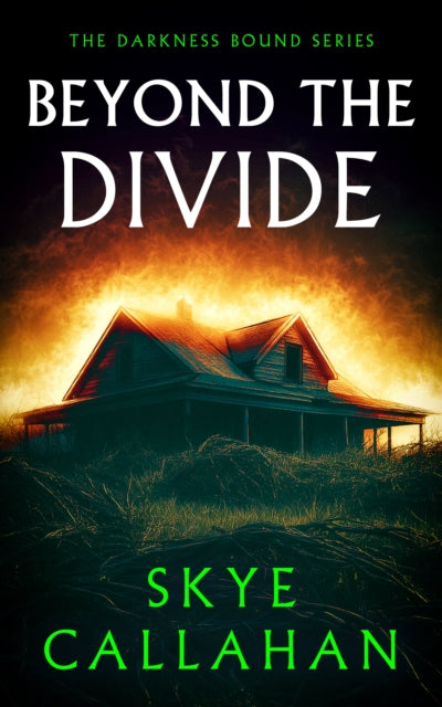 Beyond the Divide : A paranormal mystery of ghost hunters and a family haunted at home - Skye Callahan