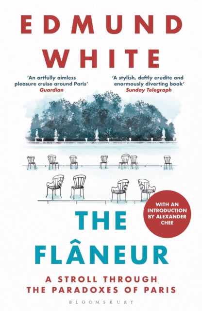 The Flaneur : A Stroll through the Paradoxes of Paris - Edmund White