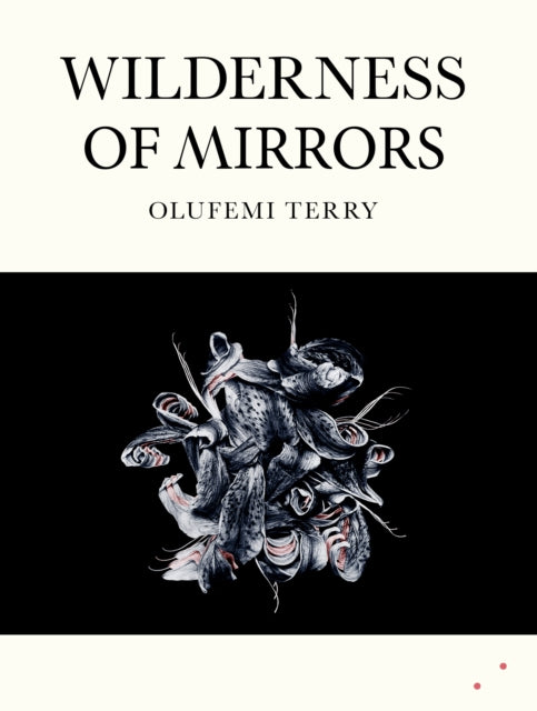 Wilderness of Mirrors - Olufemi Terry