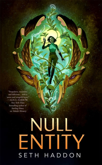 Null Entity - Seth Haddon