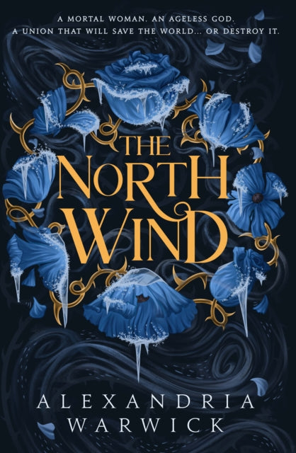 The North Wind : The TikTok sensation! An enthralling enemies-to-lovers romantasy, the first in the Four Winds series Volume 1 - Alexandria Warwick