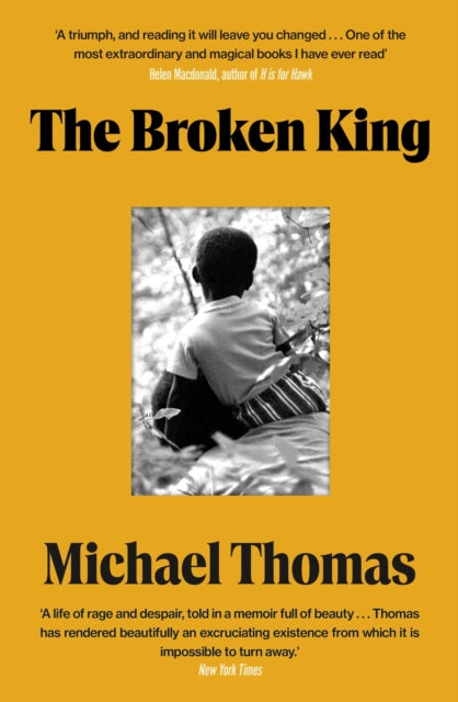 The Broken King - Michael Thomas