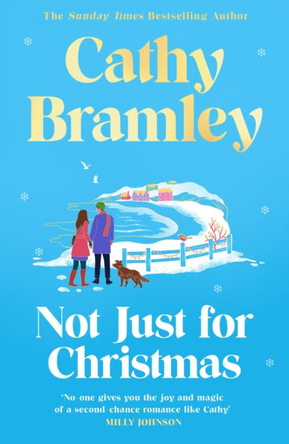 Not Just for Christmas : The must-read and utterly heartwarming festive romance coming this Christmas! - Cathy Bramley