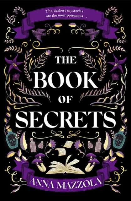 Front cover of The Book of Secrets by Anna Mazzola, paperback