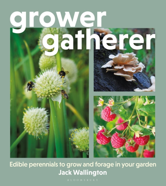 Grower Gatherer : Edible perennials to grow and forage in your garden - Jack Wallington