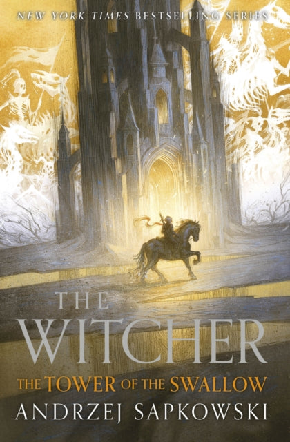 Front cover of The Tower of the Swallow by Andrzej Sapkowski, hardback