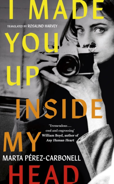 Front cover of I Made You Up Inside My Head, hardback