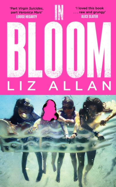Front cover of In Bloom by Liz Allan, hardback