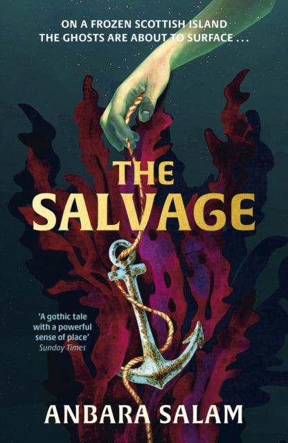 The Salvage : `A gothic tale with a powerful sense of place and an eerie atmosphere' Sunday Times - Anbara Salam