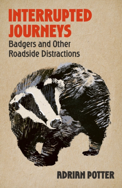Front cover of Interrupted Journeys by Adrian Potter, hardback