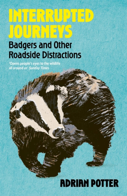 Interrupted Journeys : Badgers and Other Roadside Distractions - Adrian Potter