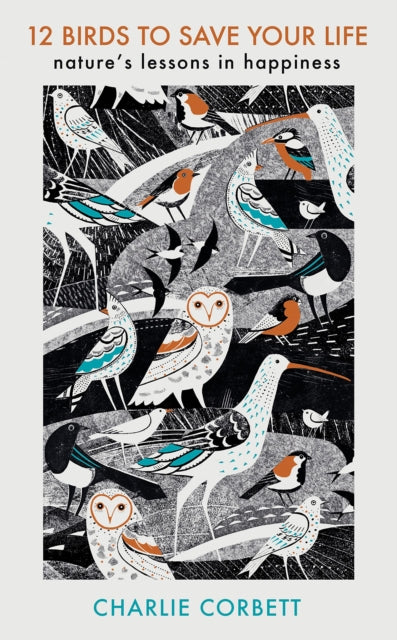 Front cover of 12 Birds to Save Your Life by Charlie Corbett, paperback