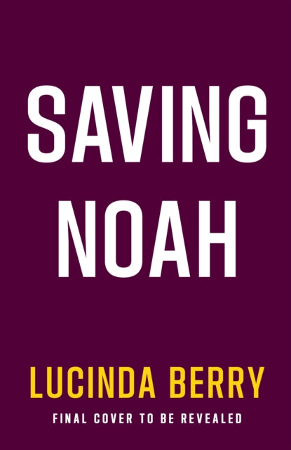 Saving Noah - Lucinda Berry