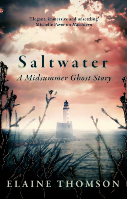 Saltwater : A midsummer ghost story - Elaine Thomson