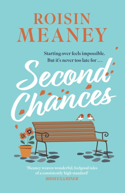 Second Chances : from the Irish bestseller comes a brand-new uplifting and escapist novel to make you laugh and cry - Roisin Meaney