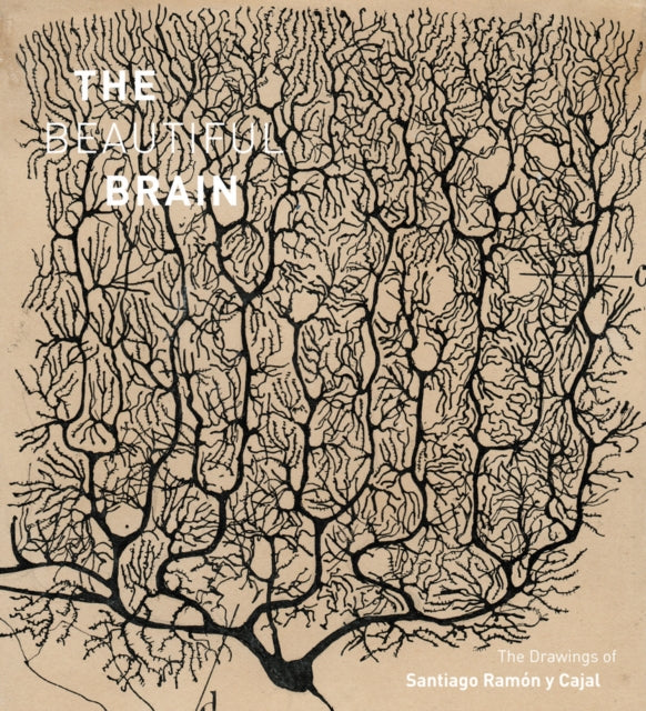The Beautiful Brain : The Drawings of Santiago Ramon y Cajal - Alfonso Araque
