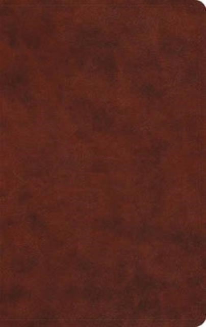 ESV Large Print Value Thinline Bible -