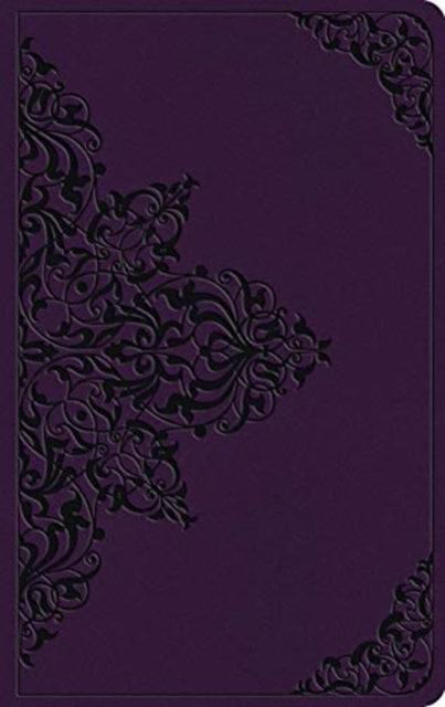 ESV Large Print Value Thinline Bible -