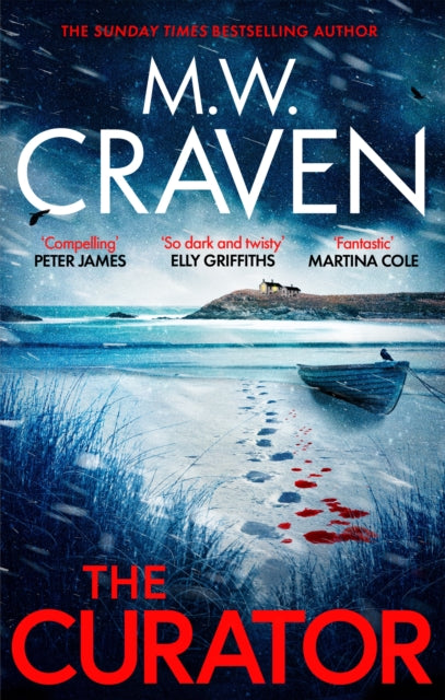 The Curator : 'Dark, sharp and compelling' PETER JAMES (Washington Poe) - M.W. Craven