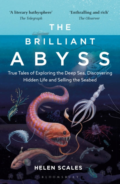 The Brilliant Abyss : True Tales of Exploring the Deep Sea, Discovering Hidden Life and Selling the Seabed - Helen Scales