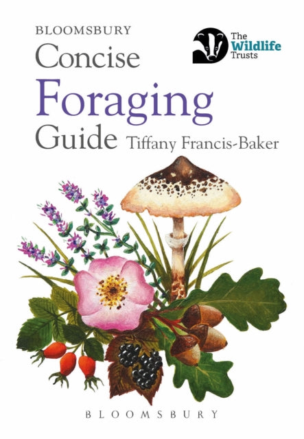 Front cover of Concise Foraging Guide - Tiffany Francis-Baker, paperback