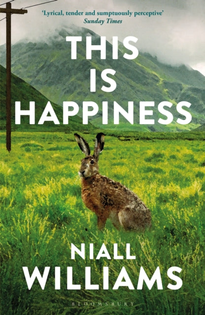 Front cover of This Is Happiness by Niall Williams, paperback