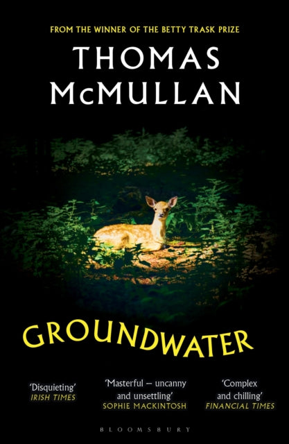 Groundwater : `Complex, chilling, masterful' Financial Times - Thomas McMullan