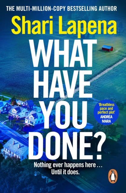 What Have You Done? - Shari Lapena