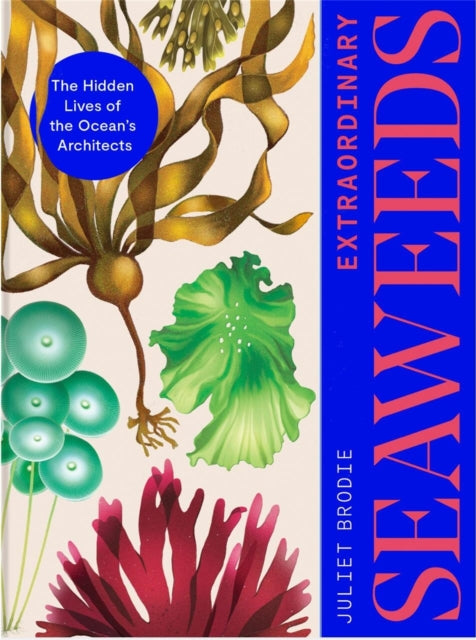 Extraordinary Seaweeds : The hidden lives of the ocean's architects - Juliet Brodie