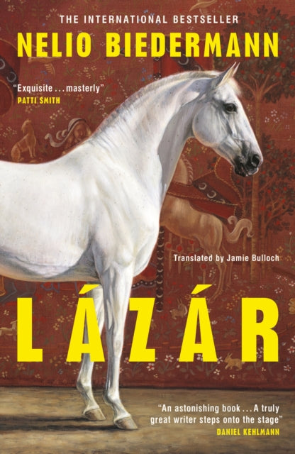 Front cover of Lazar by Nelio Biedermann, hardback